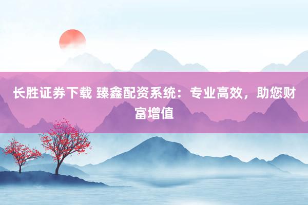 长胜证券下载 臻鑫配资系统：专业高效，助您财富增值