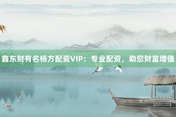 鑫东财有名杨方配资VIP：专业配资，助您财富增值