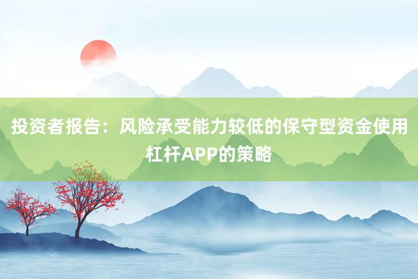投资者报告：风险承受能力较低的保守型资金使用杠杆APP的策略
