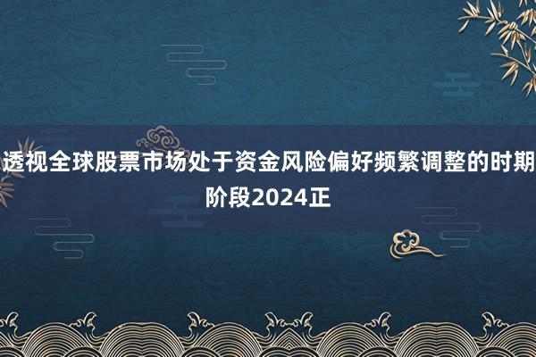 透视全球股票市场处于资金风险偏好频繁调整的时期阶段2024正