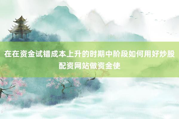 在在资金试错成本上升的时期中阶段如何用好炒股配资网站做资金使