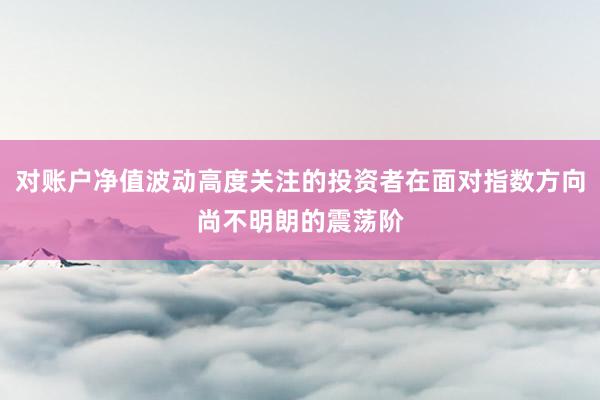 对账户净值波动高度关注的投资者在面对指数方向尚不明朗的震荡阶