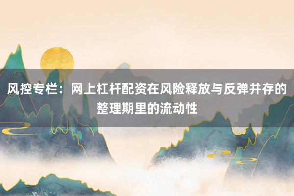 风控专栏：网上杠杆配资在风险释放与反弹并存的整理期里的流动性