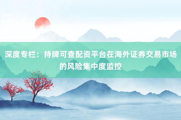 深度专栏：持牌可查配资平台在海外证券交易市场的风险集中度监控